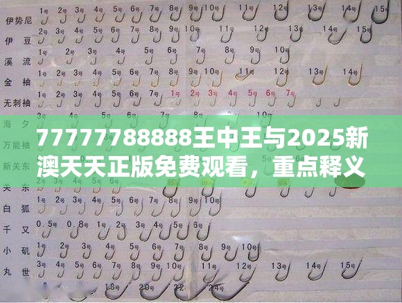 王中王 第2页
