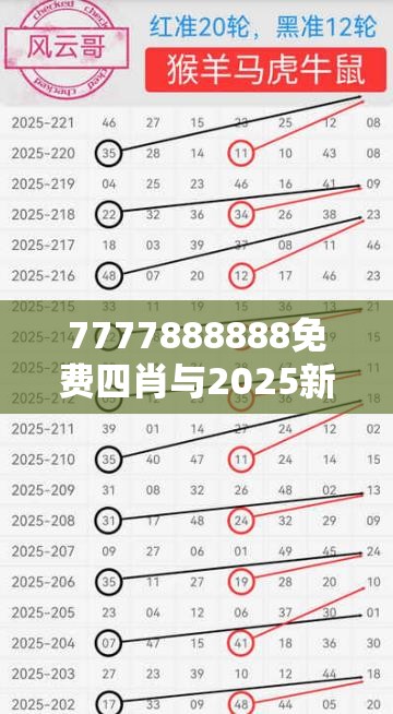 2025新澳历史记录查询