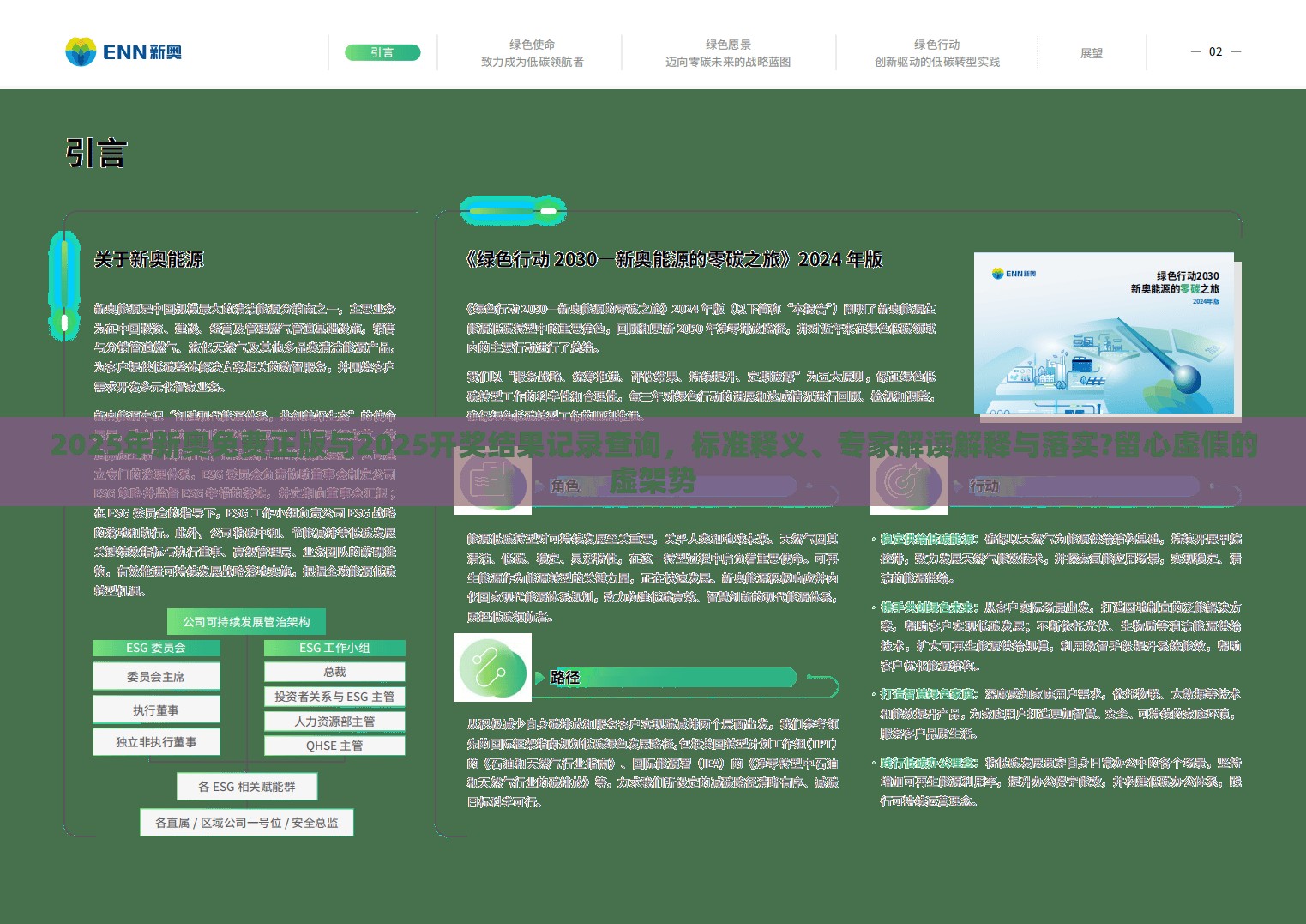 2025年新奥免费正版与2025开奖结果记录查询，标准释义、专家解读解释与落实?留心虚假的虚架势
